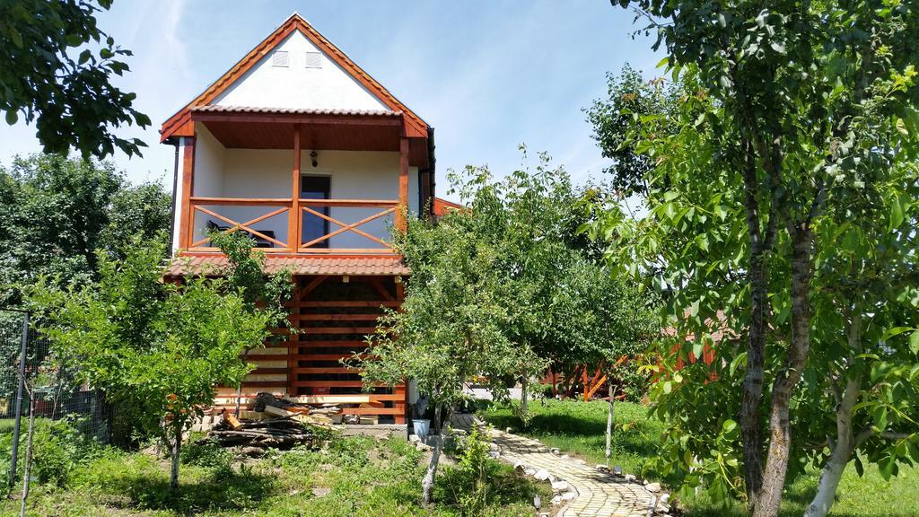 Casa Agnes Vendeghaz Hotel Fantanele  ภายนอก รูปภาพ