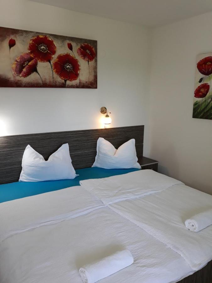 Casa Agnes Vendeghaz Hotel Fantanele  ภายนอก รูปภาพ